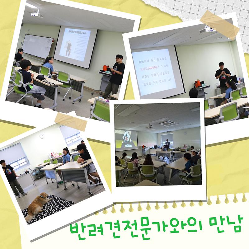 11.jpg 이미지