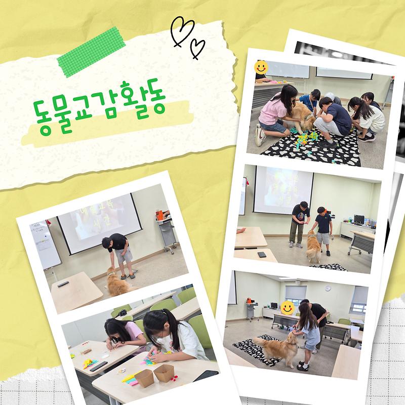 12.jpg 이미지